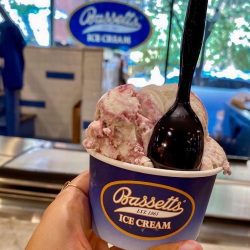 ice-cream_bassetts-cup