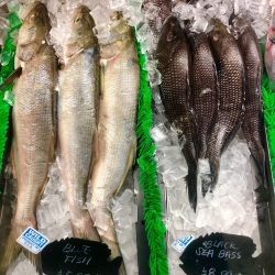 Golden Fish Market Sea Bass