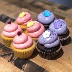 cupcakes-Flying Monkey Bakery